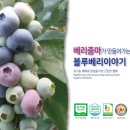 임실치즈벨리영농조합법인 | 유기농블루베리 의 달콤한 건강 이야기 베리줌마와 함께하세요