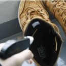 피톤바이오 이미지