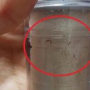 상수도사업본부 화장실 이미지