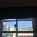 안평마트앞(51166) | 대만 가오슝 여행3