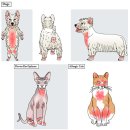 방주동물병원 이미지