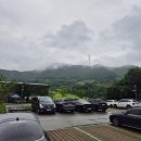 안성조명 | 포웰cc안성 솔직후기!!!! / 갈까 말까 수중전??새싹캐디??