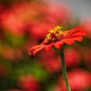 안심디지털보청기 이미지