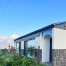 스테이돌덕 이미지