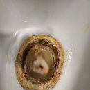 신평노래연습장