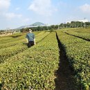 중간말농장 이미지