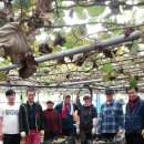 태민농장 이미지