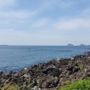 위미 필하우스 이미지