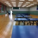 금호공원체육관 이미지