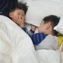 로제스(A)펜션 | [거제펜션] 바닷가 앞, 바다뷰가 보이는 풀빌라&amp;거제펜션 "로제스펜션"