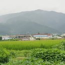 서운 북산리 석조여래입상 | 회관~청룡사)-비 내린 뒤 안개 자욱한 서운산 탕흉대 경유 서운 북산리 석조여래입상이 정말 인상적이었다.