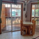 솔푸른향기애견 이미지