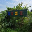 풀꽃농장 이미지