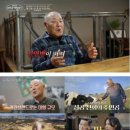 대표목장 이미지