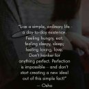 부엔까미노 이미지