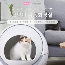 펫트리 이미지