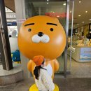 아델린 풀빌라 | 강릉 풀빌라 숙소 추천. 강릉 대가족 펜션 숙소 추천. 아델린 풀빌라 내돈내산 후기 ㅡ 강릉 여행 첫째날💛