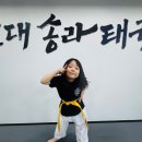 용인대송라태권도 이미지