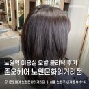 하이엔지 | 노원역 미용실 준오헤어 노원문화의거리점 하이쌤 모발클리닉 후기