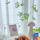 대파랑통닭 - 익산시 동천로7길 51 | 노랑통닭 신메뉴 대파간장치킨 내돈내산 후기 솔직한 맛은?