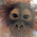 단골미용실 이미지