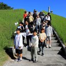 평일초등학교 이미지