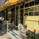 댕스베리 이미지