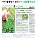 도봉농장 | 가래비염 고민으로 잠못 이루던 제가 2주 만에 숨통이 트인 이유 (곰보배추농장 솔직 후기)