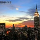 유학플래너닷컴분당유학원 이미지
