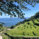 시골막걸리 이미지