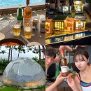 코지네이쳐 | 강화도 수영장 펜션 추천 동검도 코지네이쳐