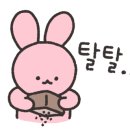 리젠메디 이미지