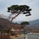 양지보건지소 이미지