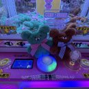 대빵인형뽑기 연남점 이미지