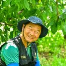 게으름뱅이농장