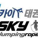 용인대스카이태권도 - 강동구 아리수로93길 9 | 용인대스카이태권도
