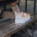 GS25 부경대연점 이미지