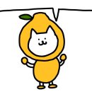 더깔꼼세탁 이미지