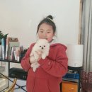 개츠비유치원&호텔 이미지