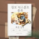 카니훈트 | 장모 닥스훈트 종류 특징 성격 수명 털관리 분양가격(feat. 실제사례후기)