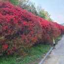 대강면 석촌마을 이미지