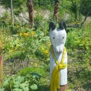 추령장승촌 이미지