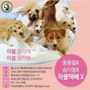 이동이불판매 이미지