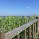 2025 성안올레 걷기 축제 이미지