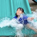 세병공원(물놀이터) 이미지