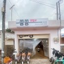 월정 | 🌊 제주 액티비티 추천｜쓩쓩렌탈샵 월정점 전동스쿠터 후기 🛵