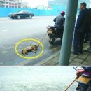 그 오토바이 가게 이미지