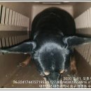 월드카센터 이미지