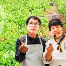 홍주발효식품