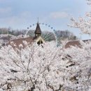 봄꽃한의원 이미지